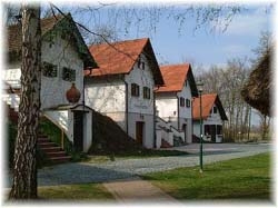 Weinmuseum 